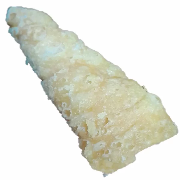 Canapes Fish Cone (Pack of 20) - Image 4